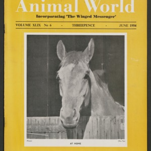 Animal World, June 1954