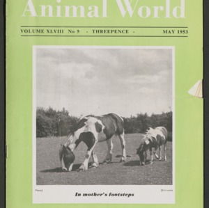 Animal World, May 1953