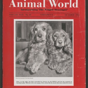 Animal World, October 1954