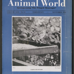 Animal World, November 1954