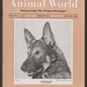 Animal World, January 1955