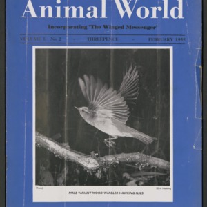 Animal World, February 1955