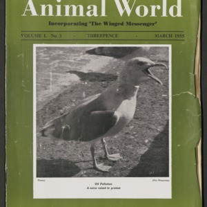 Animal World, March 1955