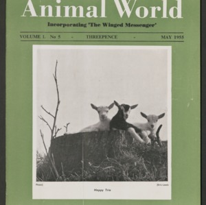 Animal World, May 1955