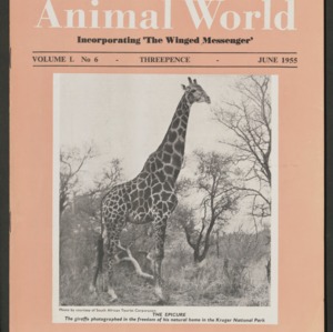 Animal World, June 1955