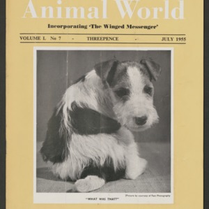 Animal World, July 1955