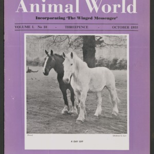 Animal World, October 1955