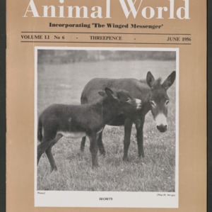 Animal World, June 1956