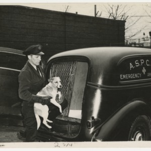 ASPCA photograph: ASPCA official holding a dog outside an ASPCA vehicle