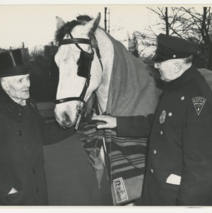 ASPCA photograph: ASPCA agent and carriage driver stand next to carriage horse wearing blinders