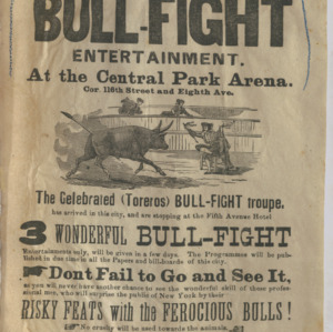 Grand Bullfight Entertainment at Central Park Arena