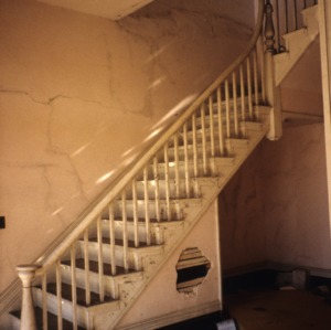 Stairs, Dr. Samuel Perry House, Franklin County, North Carolina