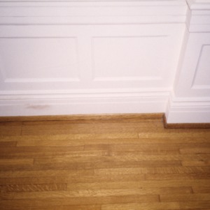 Wainscoting, Dr. Charles S. Grayson House, High Point, Guilford County, North Carolina