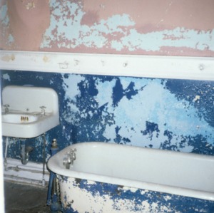 Bathtub, L. C. Blades House, Elizabeth City, Pasquotank County, North Carolina