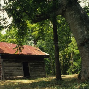 View, Slave House, Cumberland County, North Carolina