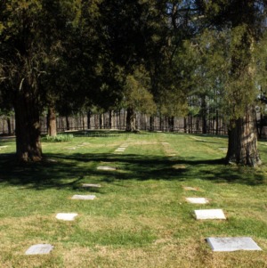 Cemetery, God's Acre, Winston-Salem, Forsyth County, North Carolina
