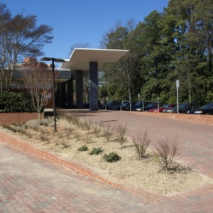 Talley Lawn construction