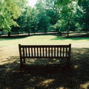 Bench on campus