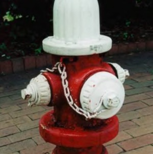 Mathews fire hydrant