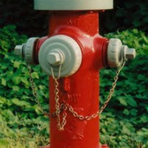 Waterous model fire hydrant