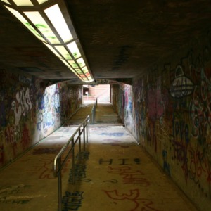 Free Expression Tunnel