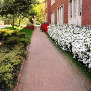 Walkway near D. H. Hill Jr. Library