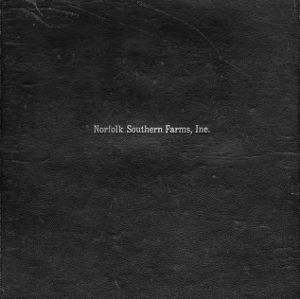 Norfolk Southern Farms, a land reclamation project: Report, 1918