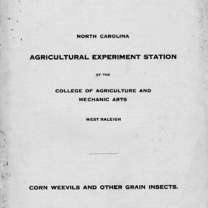 Corn weevils and other grain insects (Bulletin No. 203)