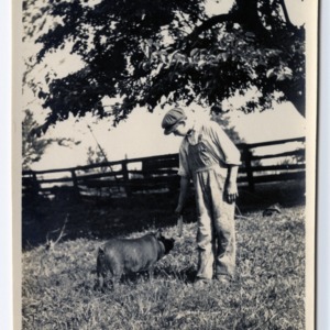 Mecklenburg County Pig Club boy with his pig, circa 1913-1917