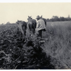 Iredell County, North Carolina - Plowing field :: Photographs