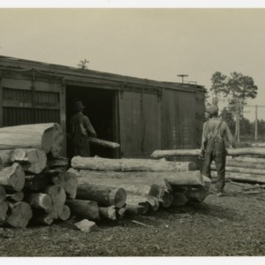 At log yard :: Photographs