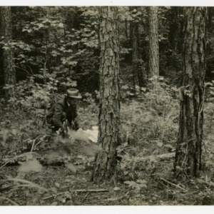 Unidentified man in forest :: Photographs