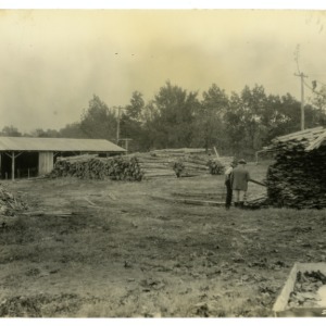 Cedar logs, lumber; Rosemon Cedar Co., Hillsboro, Orange County :: Photographs