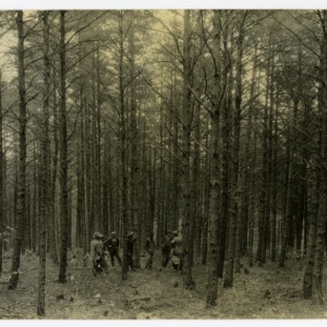 Timber Stand Improvement demonstration, Inspection, Catawba County, North Carolina :: Photographs