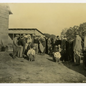Polishing Black Walnuts after hulling, Hudson 4-H Black Walnut Club, Caldwell County, North Carolina :: Photographs