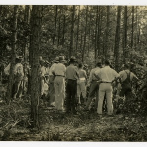 Thinning demo on farm of C. J. Dellinger, Cherryville, North Carolina, Gaston County :: Photographs
