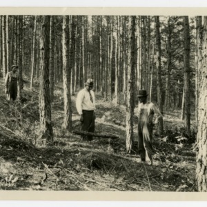 Graeber? and farmers in forest :: Photographs