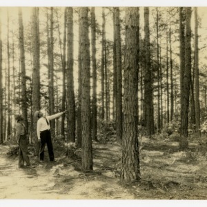 Forest Management demo., W. S. Myres county agent C. A. Sheffield, Davidson County, North Carolina :: Photographs