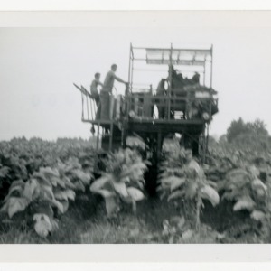 Harvesting machinery