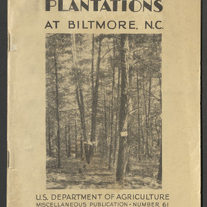 Carl Alwin Schenck Papers. Forest Plantations at Biltmore Estate, 1930