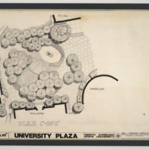 NCSU - University Plaza -- "Chrysalis" Sketches