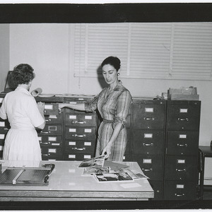 Women filing photographs in office