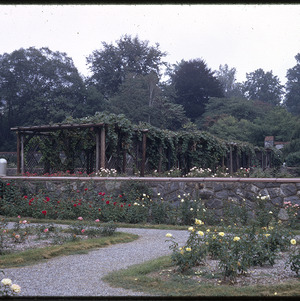 Flowers and vine-covered pergola at the Biltmore Estate, circa October 1971