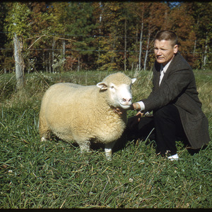 Man posing with sheep, circa November 1960