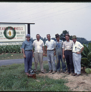 Men in front of tobacco field, circa August 1969