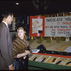 Man and woman standing in front of peanut inoculation exhibit, undated
