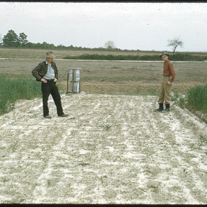 Men standing in field, undated