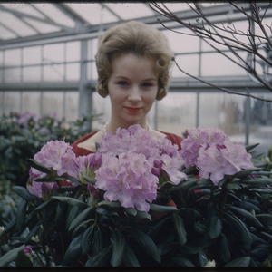 Woman posing with flowers in greenhouse, circa February 1962