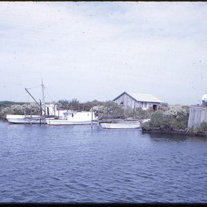 Boats in dock, circa November 1965