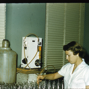 Woman filling bottles, circa November 1968